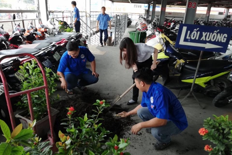 Chi Đoàn phòng KDDV tạo mảng xanh cho nhà giữ xe 2 tầng