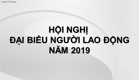 HỘI NGHỊ ĐẠI BIỂU NGƯỜI LAO ĐỘNG NĂM 2019